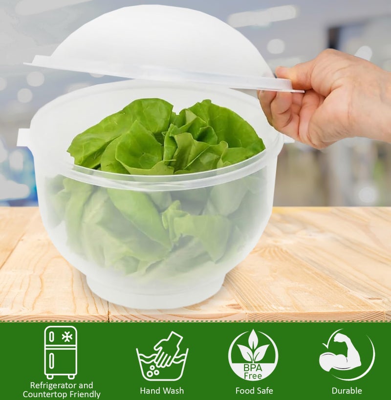 Home-X Lettuce Keeper - BPA-Free Lettuce Keeper for Refrigerator to Keep Salads and Vegetables Fresh - 7" x 8" Lettuce Crisper with Drainage Reservoir - Clear See-Through Vegetable and Fruit Crisper - Image 2